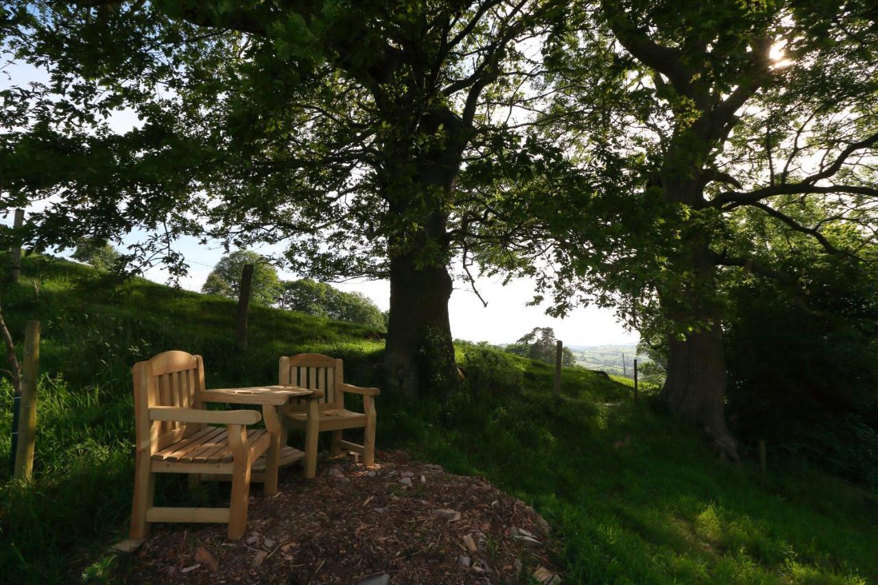 Upper Gelli Luxury Holiday Lodge, Converted Dairy & Cosy Shepherds Huts Welshpool Exterior foto
