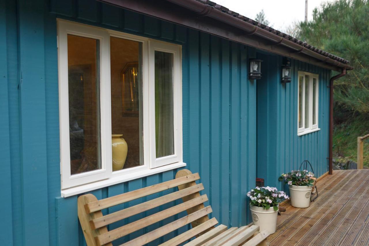 Upper Gelli Luxury Holiday Lodge, Converted Dairy & Cosy Shepherds Huts Welshpool Exterior foto