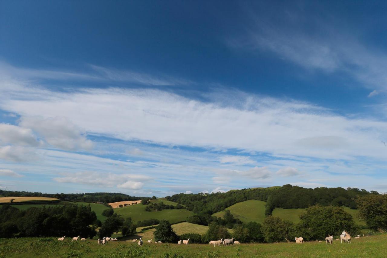 Upper Gelli Luxury Holiday Lodge, Converted Dairy & Cosy Shepherds Huts Welshpool Exterior foto